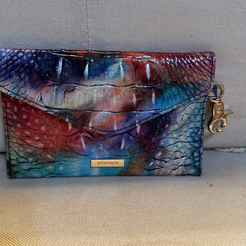 Brahmin Melbourne envelope style accessory in Awestruckuck